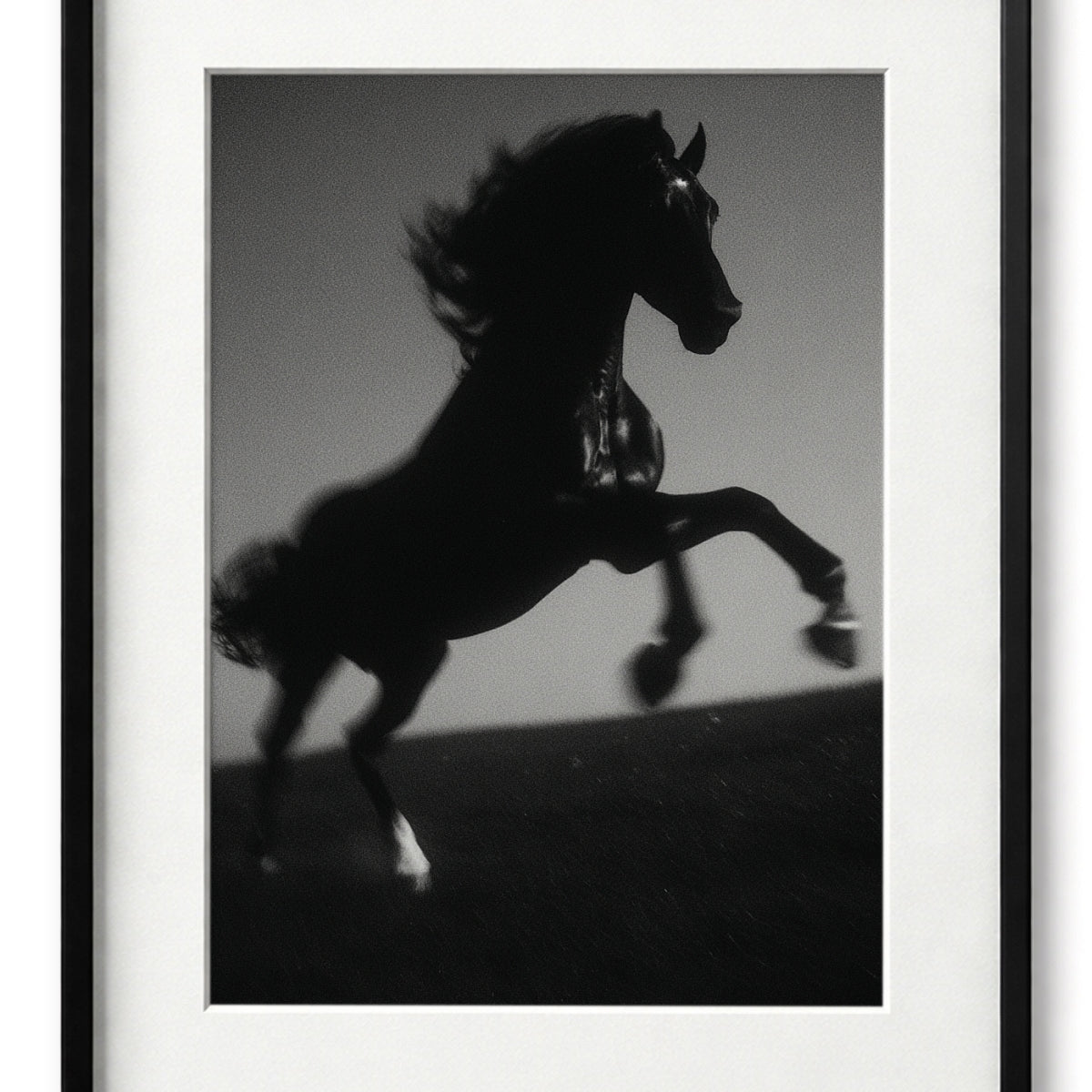 Black Steed