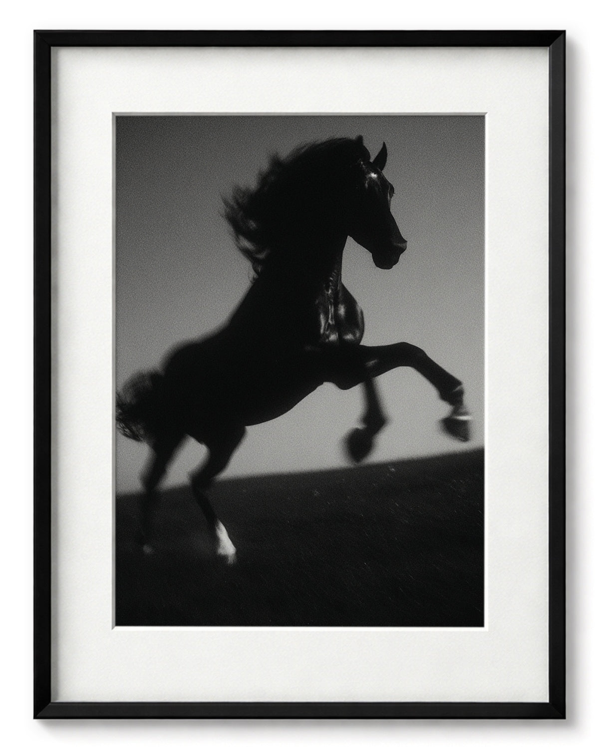 Black Steed