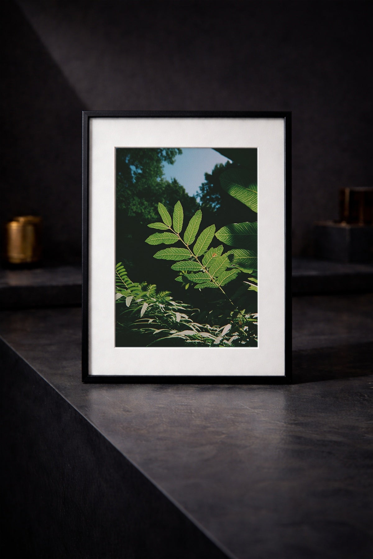 Sunlit Foliage