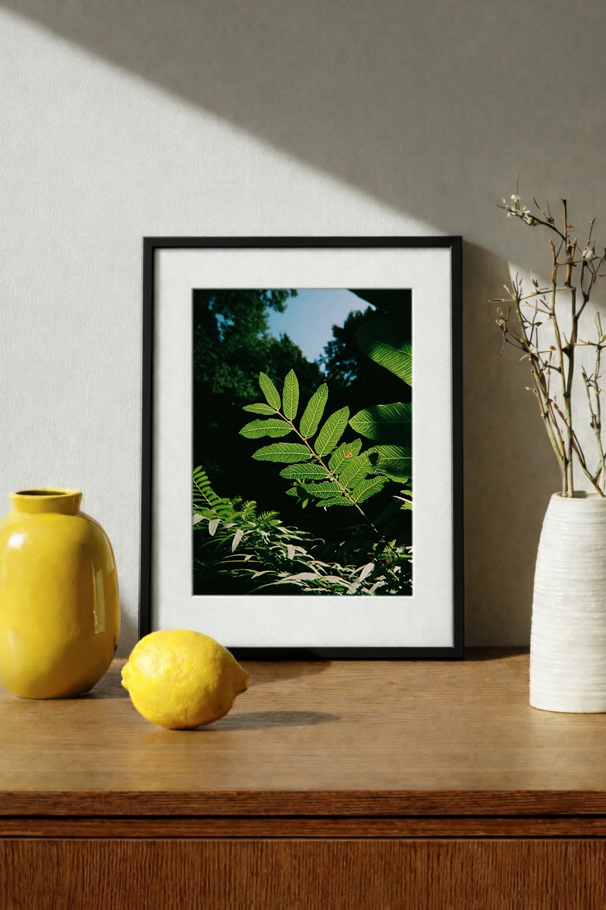 Sunlit Foliage