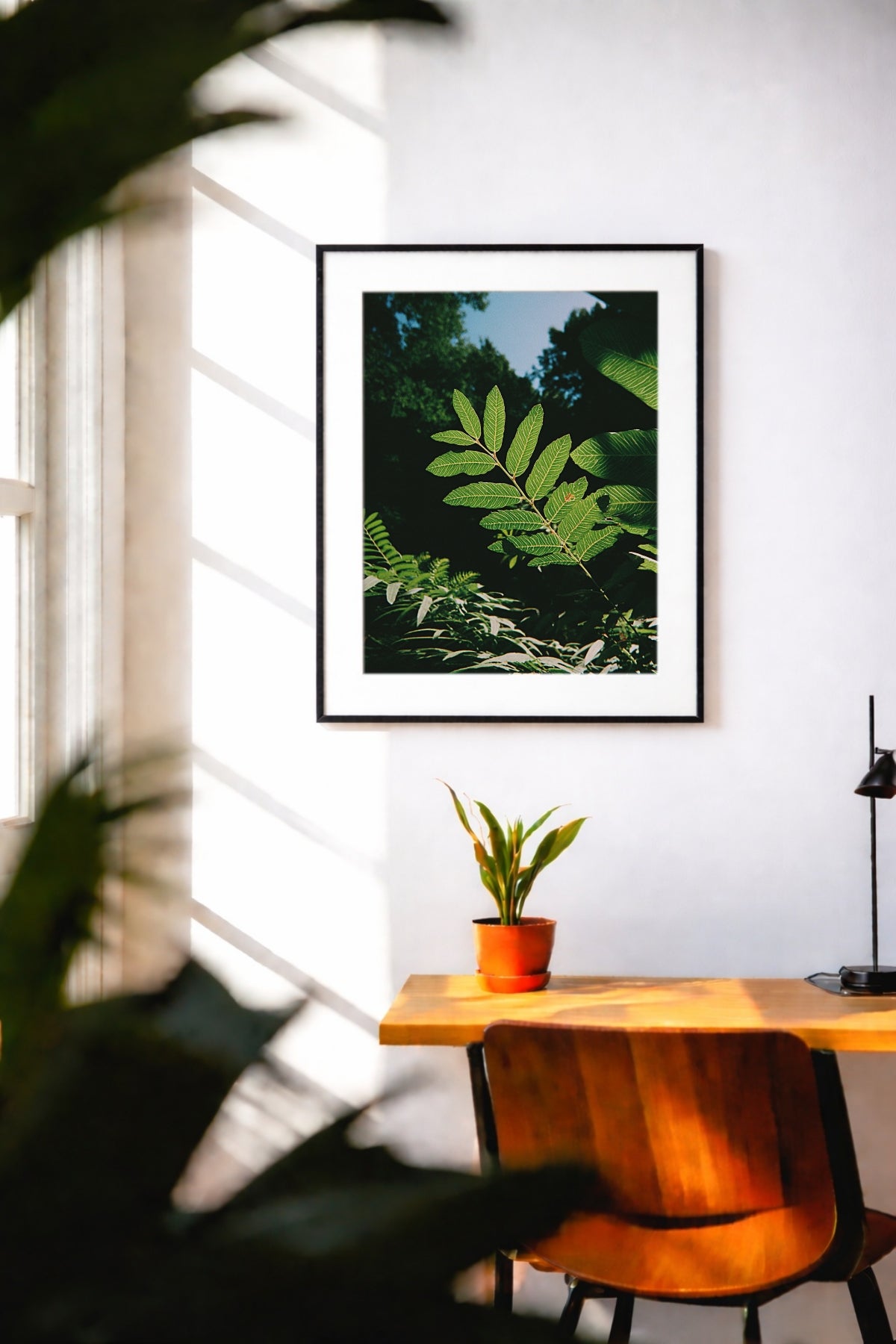 Sunlit Foliage