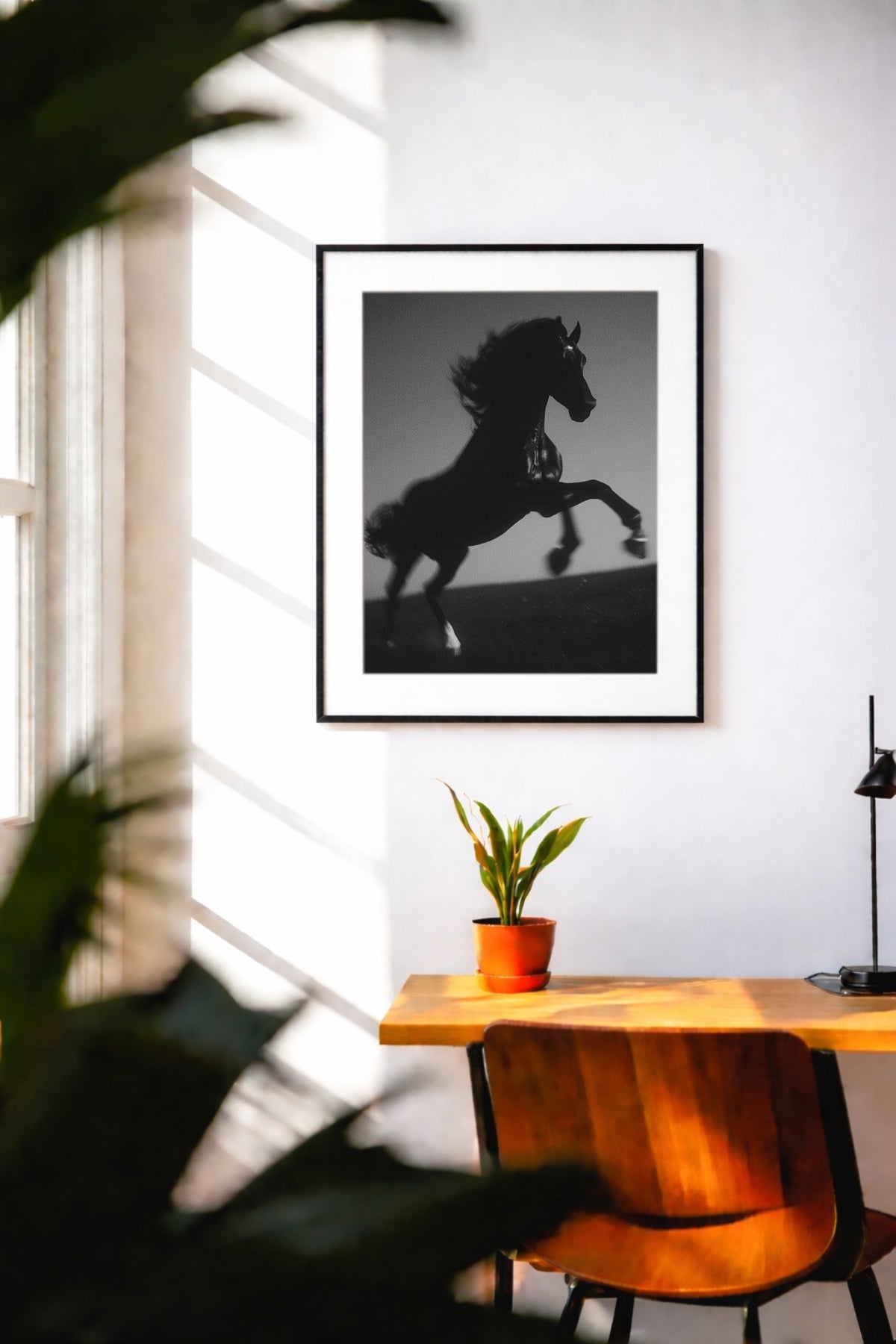 Black Steed