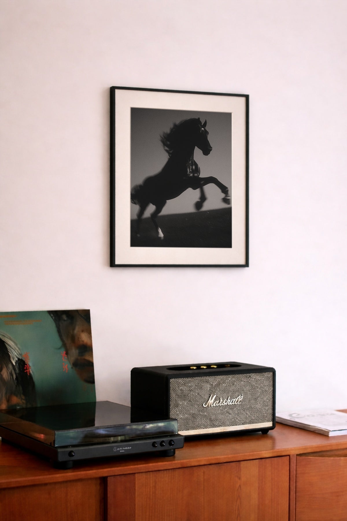 Black Steed