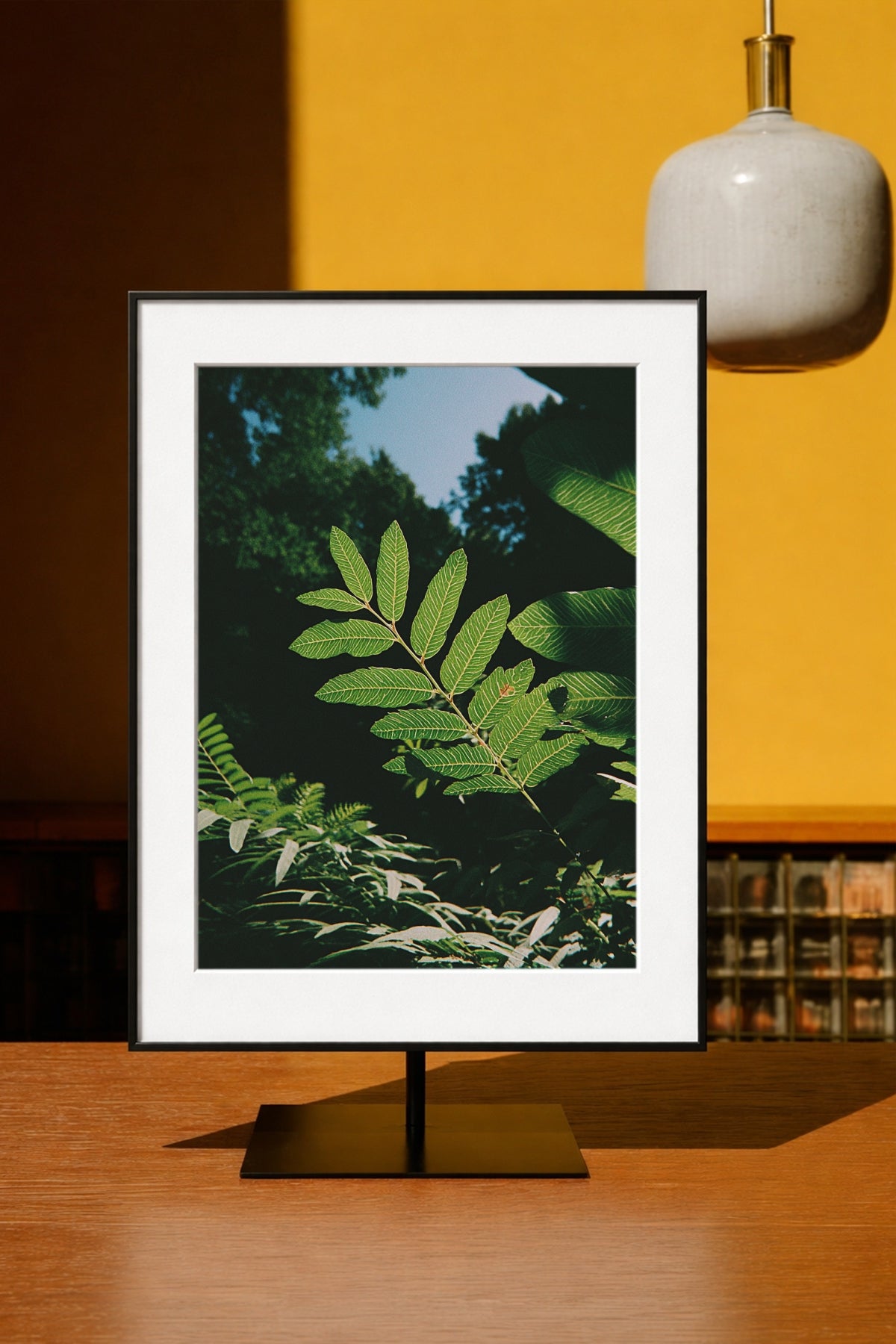 Sunlit Foliage