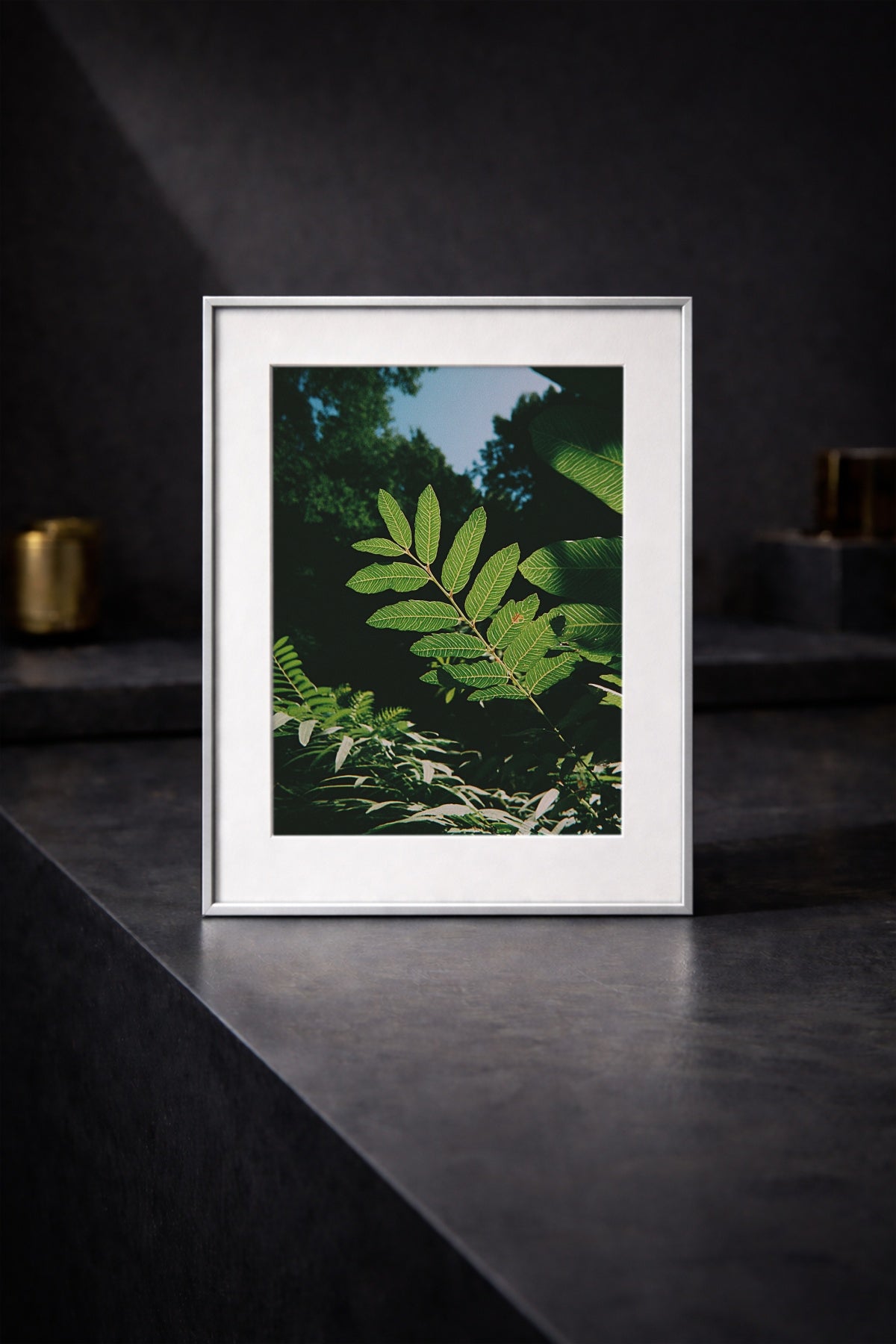 Sunlit Foliage