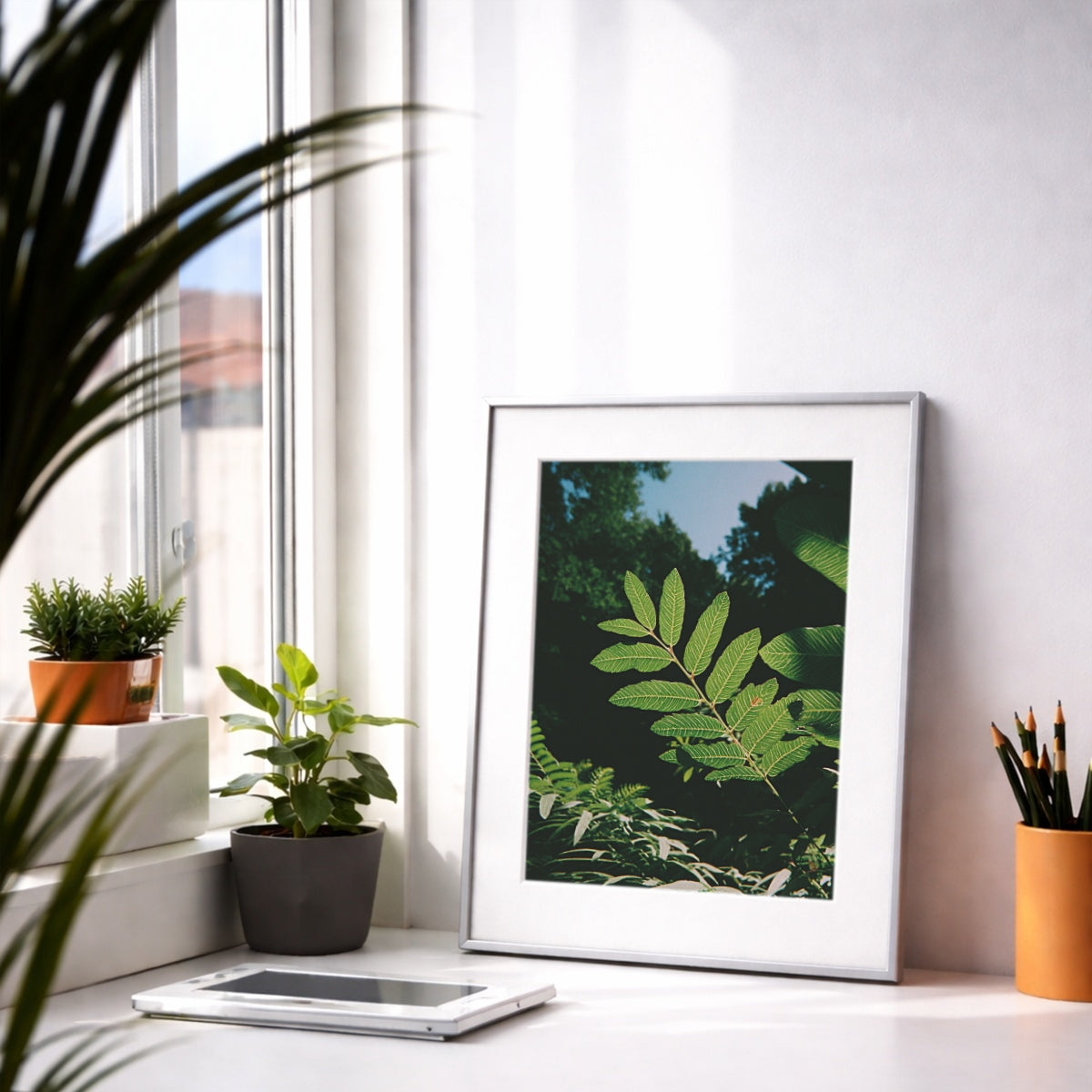 Sunlit Foliage