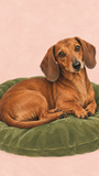 Dachshund Daydream - artwork detail