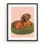 Dachshund Daydream - black frame visualization