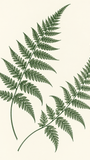 Fern Silhouette - artwork detail