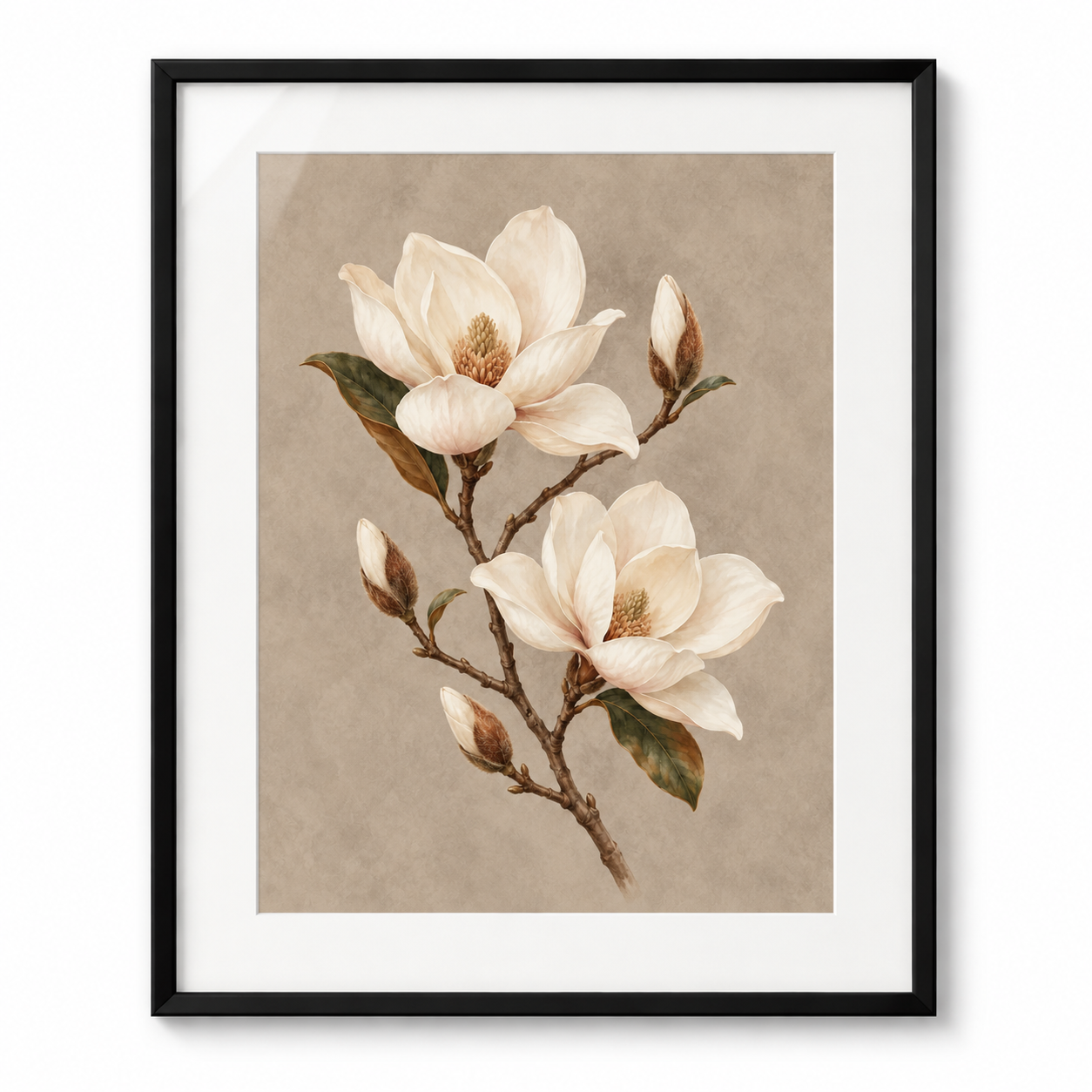 Magnolia Study - black frame visualization