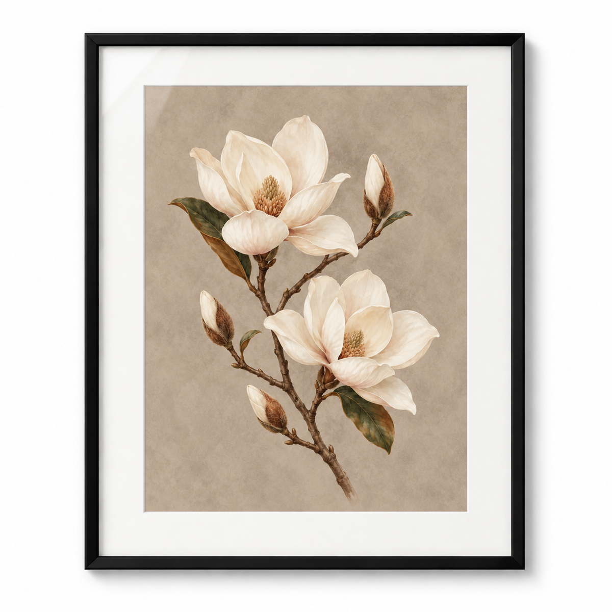 Magnolia Study - black frame visualization