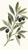 Olive Branch Morning - artwork detail