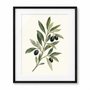 Olive Branch Morning - black frame visualization