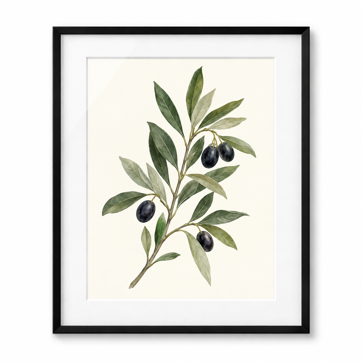 Olive Branch Morning - black frame visualization